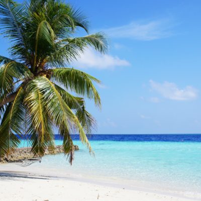 Cruise til Maldivene nordmannsreiser, cruisereiser, cruise