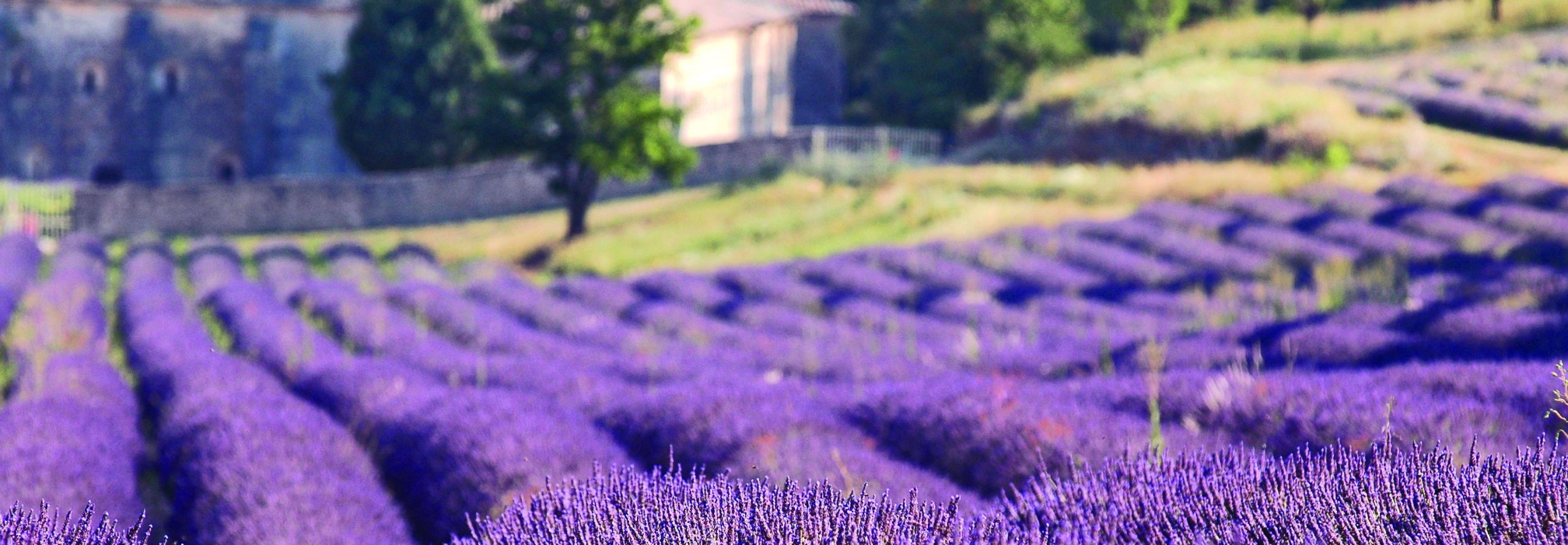 Elvecruise i Provance, Ama Waterways, Cruisereiser, Nordmanns-Reiser, elvecruise i Provence