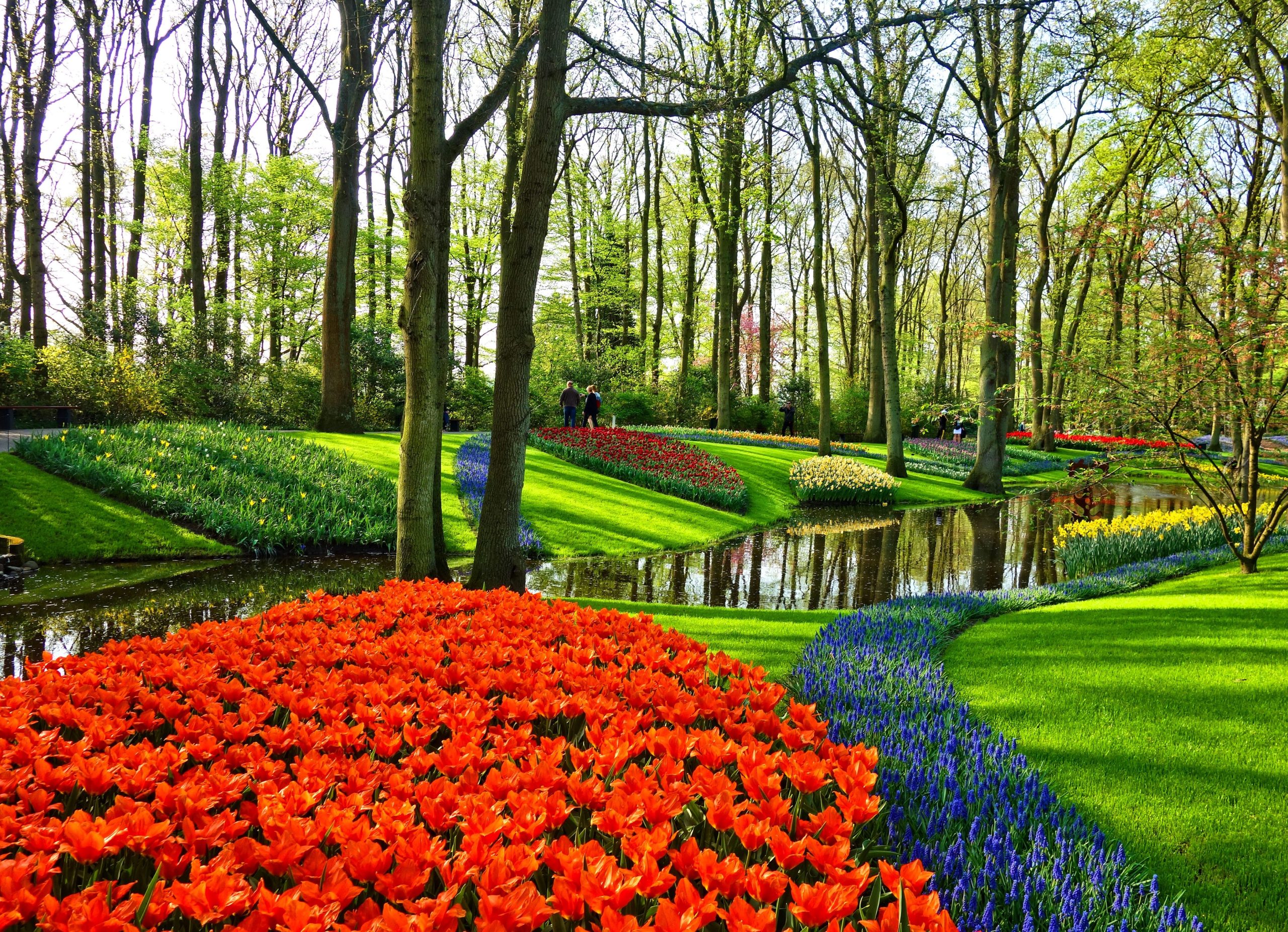 Elvecruise fra Amsterdam med AmaWaterways, nordmannsreiser, cruisereiser, cruise