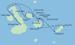 USa spesialisten Amerikaspesialisten, nordmannsreiser, cruisereiser