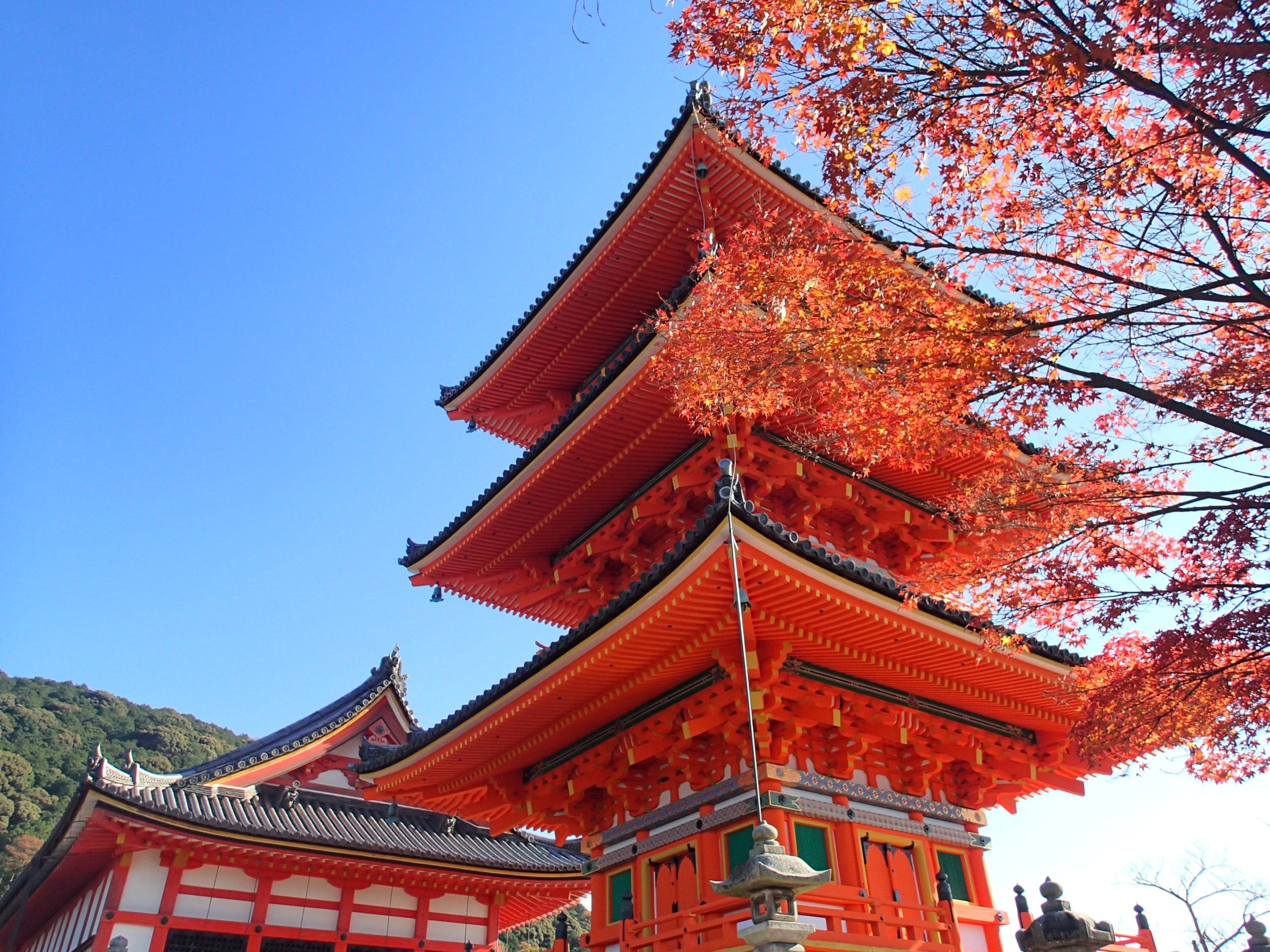 Cruise rundt Japan, cruisereiser, cruise, nordmannsreiser,