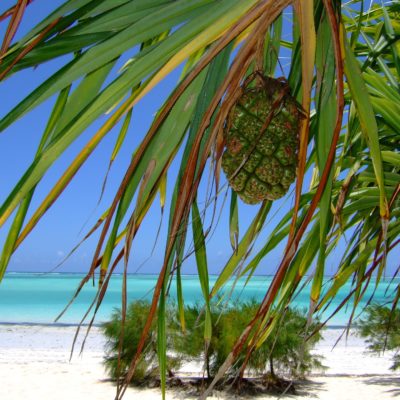 Cruise til Indonesia og Seychellene med Seabourn , cruisereiser, cruise, nordmannsreiser,