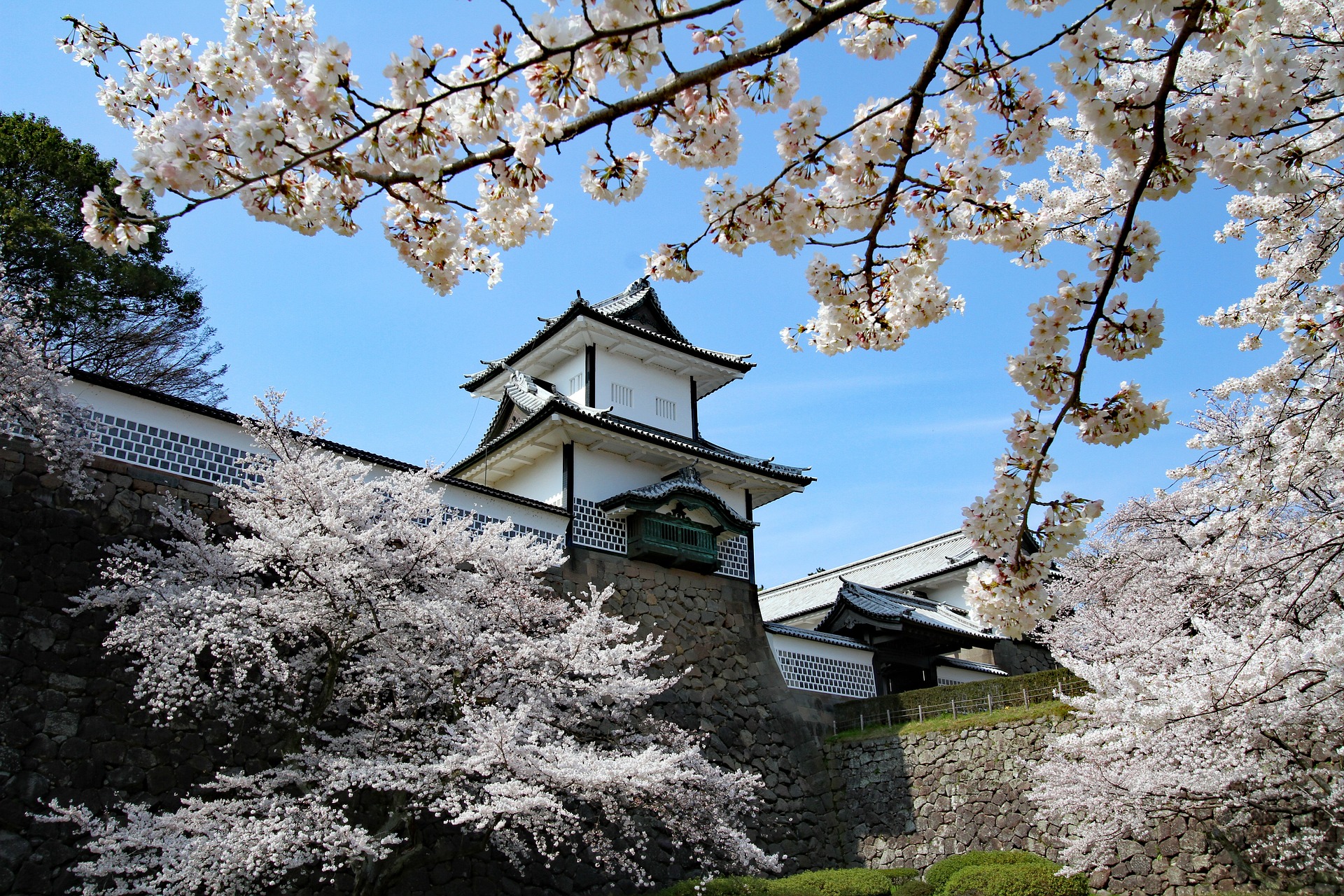 Cruise rundt Japan med Azamara og Cruisereiser mars 2025 Opplev Japan på cruise med Azamara og Cruisereiser USa spesialisten Amerikaspesialisten, nordmannsreiser, cruisereiser