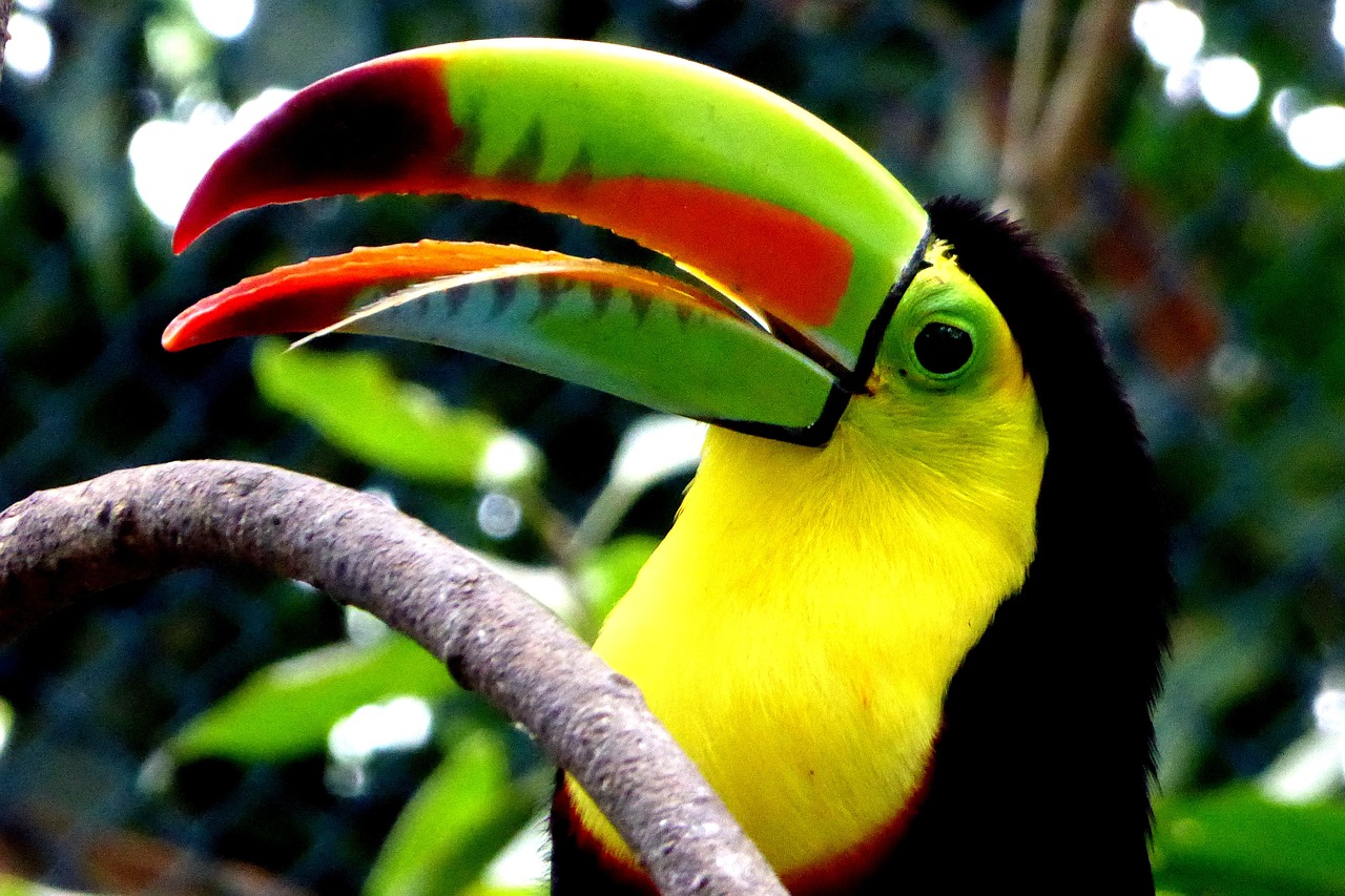 Cruise i Colombia, Ecuador og Peru med Azamara | Cruisereiser USa spesialisten Amerikaspesialisten, nordmannsreiser, cruisereiser