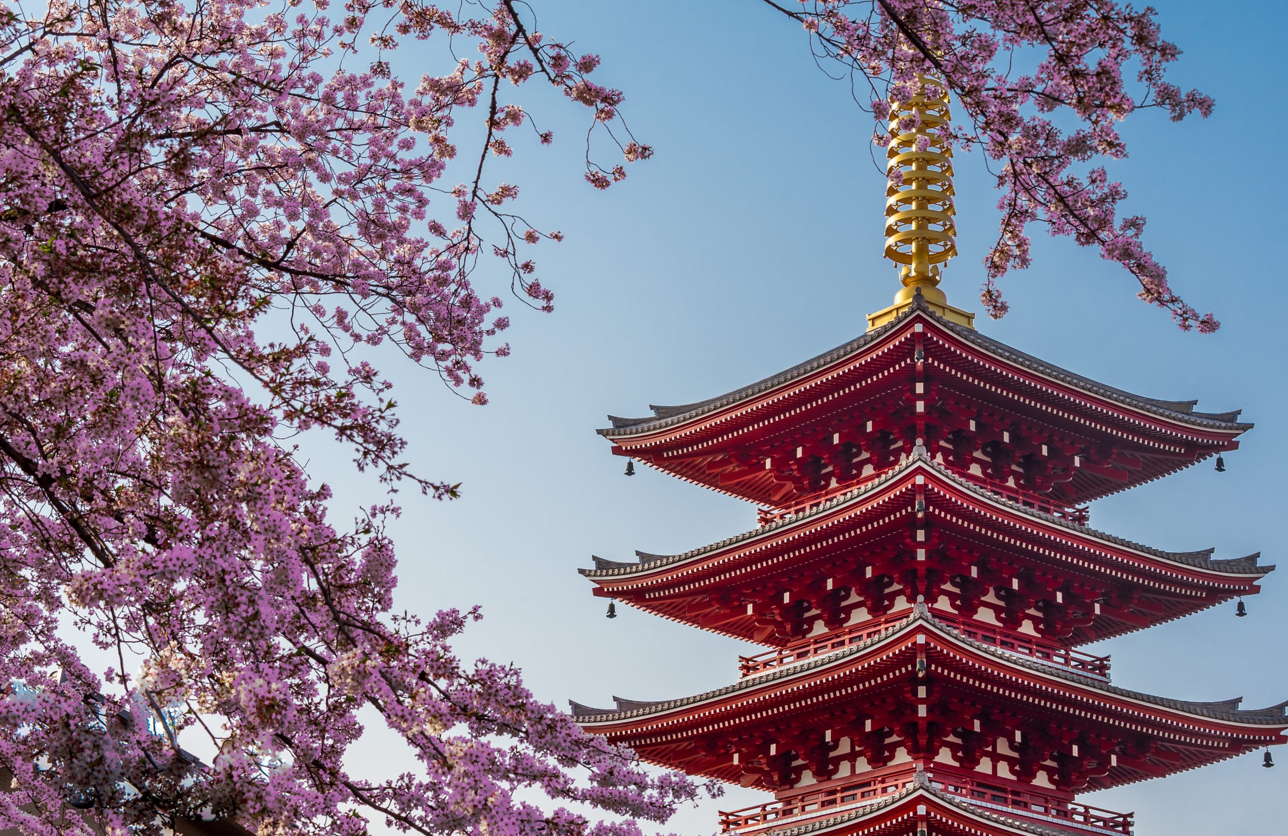 Cruise rundt Japan med Celebrity Millennium nordmannsreiser, cruisereiser, cruise