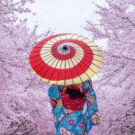 Cruise rundt Japan med Azamara Pursuit I Cruisereiser Cruise rundt Japan med Celebrity Millenium I Cruisereiser cruisereiser, amerikaspesialisten, nordmannsreiser