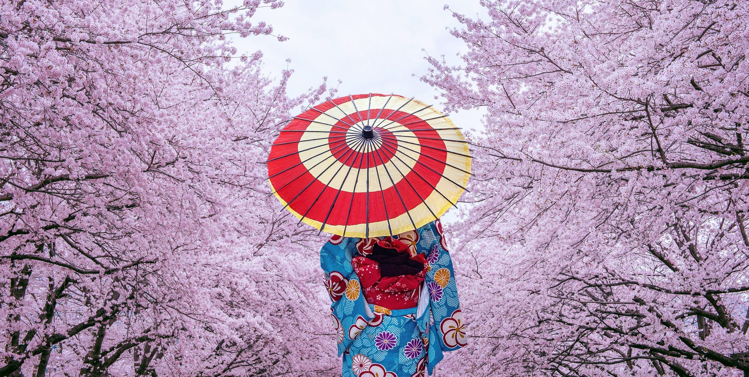 Cruise rundt Japan med Azamara Pursuit I Cruisereiser Cruise rundt Japan med Celebrity Millenium I Cruisereiser cruisereiser, amerikaspesialisten, nordmannsreiser