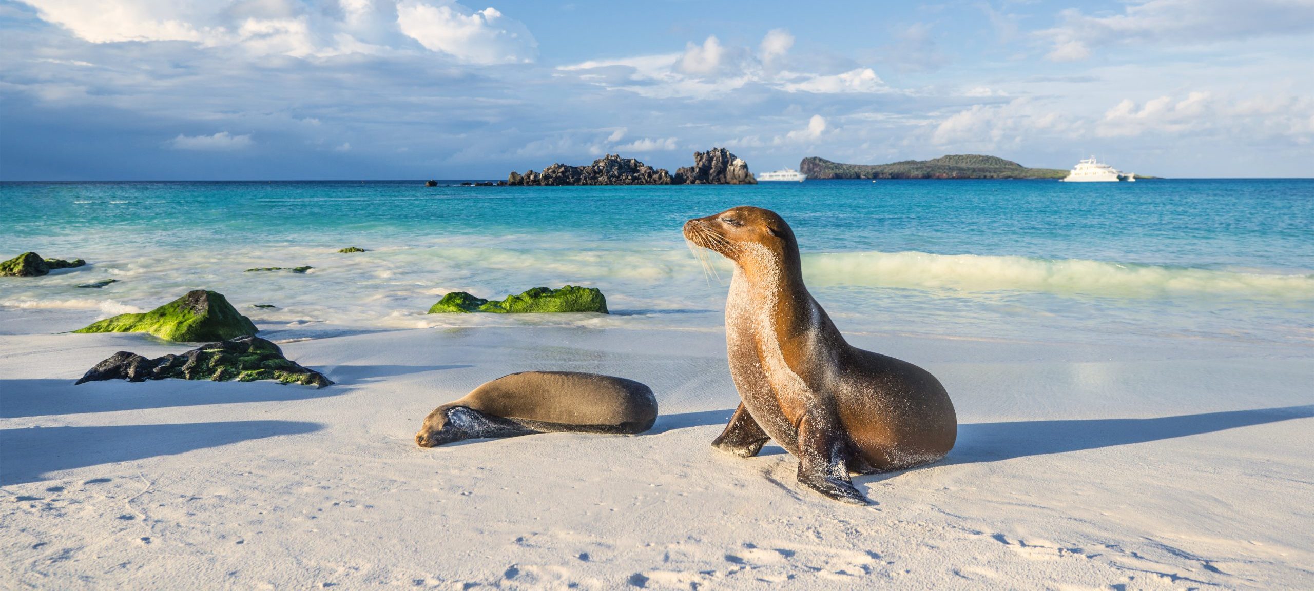 Cruise til Galapagos med Machu Picchu I Cruisereiser USa spesialisten Amerikaspesialisten, nordmannsreiser, cruisereiser