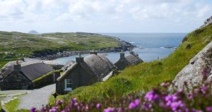 Amerikaspesialisten, nordmannsreiser, cruisereiser