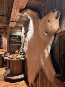 Longyearbyen og ekspedisjonsseiling med HX